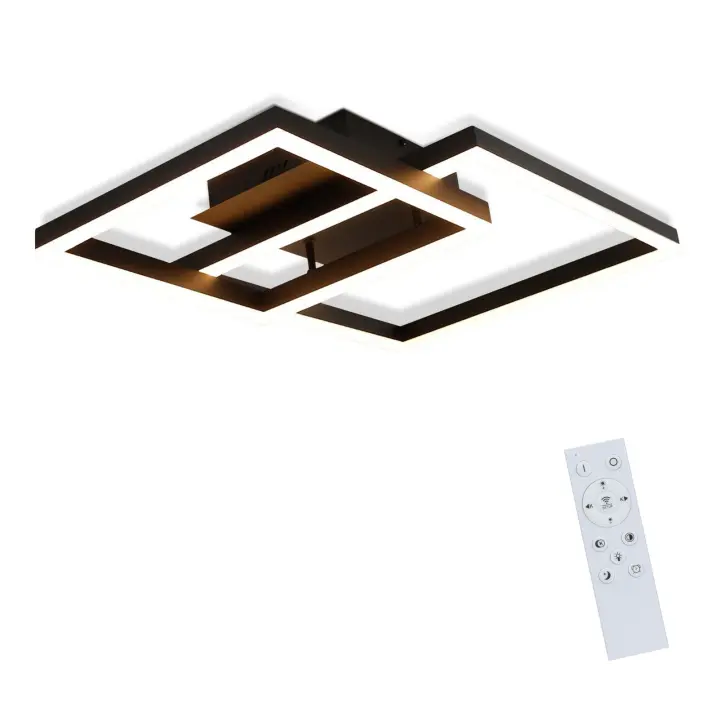 Luz de Techo LED Moderna Regulable con Control Remoto Material de Hierro - 1