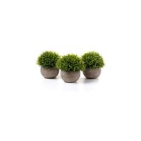 Plantas Artificiales Plásticas Flor Decorativa en Maceta Lleno de Color para Oficina en Casa Paquete de 6 - details 13
