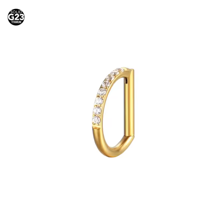 Anillo de nariz con forma de D de circonia cúbica para cartílago, Piercing de oreja, Tragus, hélice, joyería corporal, medio anillo, segmento, Cliker, F136, titanio, 16G, 8mm, 10mm, 1 pieza - 1