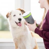 Juguete con un delicioso perro come lentamente a los perros con cuerda para comer, juguete delicioso.