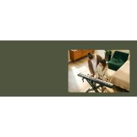 donner DP-10