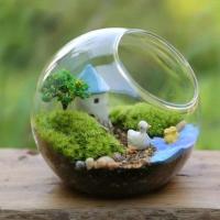 Plantas verdes artificiales de 10/50g, musgo eterno, manualidades DIY, césped, jardín, decoración del hogar, mini país, hierba, plantas falsas - details 2