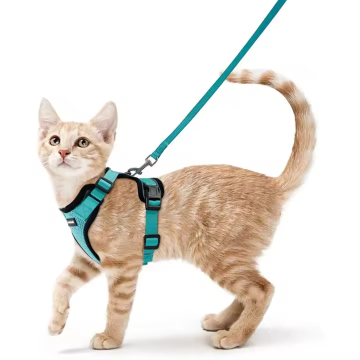 Arnés y correa para gatos para caminar, chaleco ajustable suave a prueba de escapes para gatos, chaqueta con tiras reflectantes transpirables - 1