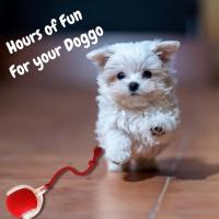 Chewie bola rodante Viral para perros, juguete interactivo para perros, bola inteligente para perros, juguete interactivo para gatos, bola rodante automática inteligente de 360 ° - details 2