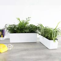 Riego automático ETA con indicador de nivel de agua para contenedores rectangulares grandes para plantar bonsái en hogares, jardines y - details 1