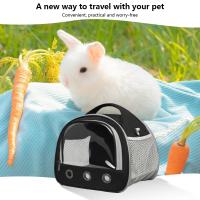 Bolsa de transporte transparente para mascotas, bolsa de malla transpirable para mascotas pequeñas, Chinchilla para p - details 2