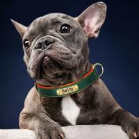 Collar de Cuero Personalizado para Perros Suave y Almohadilla Placa de Identificación de Mascota - details 17