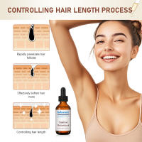 Depilación Cyperus Rotundus aceite axilas piernas pelo cuidado del cuerpo aceite hidratante piel inhibe el cabello aceite esencial de planta de Cyperus - details 12