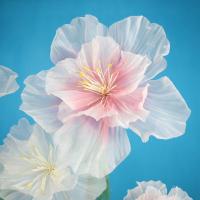 Flores artificiales de melocotón de 30/40/50cm, accesorios de tiro de gasa gigante, flores falsas, pétalos esponjosos 3D, paisajismo de boda - details 5