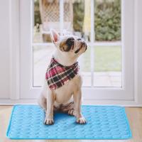 Ewoid-Colchoneta recargable para Perros, Almohadilla Autoenfriadora para Mascotas, Cama de Verano Lavable - details 4
