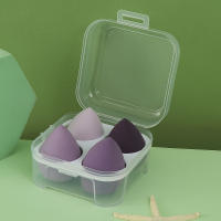 Huevos de Belleza Aerosol en Polvo Paquete de 4 Recaudos con Caja de Almacenamiento Seco y Húmedo - details 2