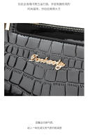Bolso de las señoras nuevo versátil de alto sentido de las señoras bolso atmosférico modelo de la madre bolso de hombro - details 10