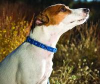 Don Sullivan Collar comando perfecto que reduce el entrenamiento de pellizco y saltar para perros medianos/grandes - details 4