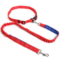 Correa Elástica Duradera de Nailon para Perros Correa para Mascotas con Empuñadura Cómoda Ideal para Mascotas Activas y Dueños de Mascotas - details 3