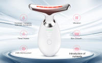 Skin Care Beauty Device
