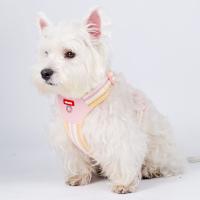 Conjunto de arnés y correa ajustable para perro, chaqueta de malla suave acolchada para gato, arnés transpirable con cuerda de tracción, juego de correa y collares para perro - details 10