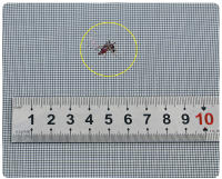 Mosquitera magnética para puerta, cortina de tamaño personalizado, cierre automático de insectos voladores, malla Invisible para cocina, sala de estar interior - details 7