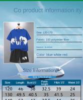 Conjunto de camiseta de manga corta y pantalones cortos de seda de hielo de secado rápido para niños, ropa deportiva - details 0
