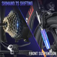 FAFREES F20 Bicicleta Eléctrica, Motor de 250W, Batería de 36V 16Ah, Neumáticos Anchos de 20*3 pulgadas, Velocidad Máxima de 25km/h, Autonomía de 60-80km, SHIMANO de 7 Velocidades, Frenos de Disco Mecánicos, Tracción Trasera, Pantalla LCD- Gris - details 6
