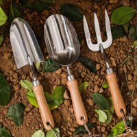 Juego De Herramientas De Jardinería 3 Piezas Mini Shovel Inoxidable Para Uso En El Jardín Y Floricultura Conjunto De Obreros De Jardín - details 1