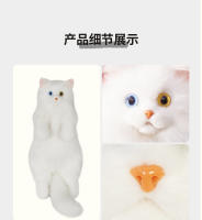 Diferentes alumnos gato blanco Mi mochila simulación mochila bolsa muñeca muñeca juguete de peluche regalo de cumpleaños ragdoll gato - details 10