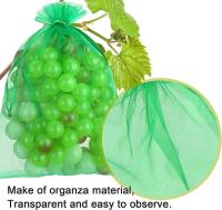 50pcs-Grape-Protection-Strawbe