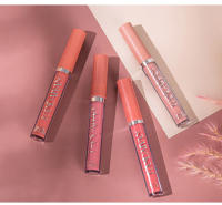 Pintalabios Líquido Permanente, 6 piezas, Mate, Larga duración, Rosa, Brillo, Barras de Labios, Maquillaje para Mujer, Regalo - details 9
