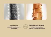 Popular Secador De Pelo Doméstico De Alta Potencia Secador De Pelo De Secado Rápido Peluquería Hotel Secador De Pelo - details 14
