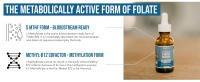 Folato 1000 mcg + Cofactor de metil B12 (300 porciones) Forma 5-MTHF metabólicamente activa, sabor a bayas orgánicas, líquido sublingual - details 4