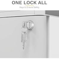 Armario Archivador Móvil con Ruedas, Metalico Mueble Oficina Archivador con Cerradura - details 1