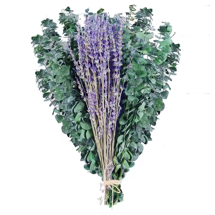 Verde Tallos de Eucalipto Preservados SECOS | Flores de Lavada para Ducha | Hojas de Eucalipto de 17 Pulgadas - 1