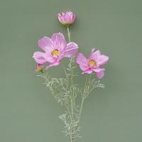 Rama de flor de Cosmos Artificial de lujo, simulación realista de plástico, crisantemo, flor falsa elegante hecha a mano - details 3
