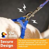 Correa de Perro Suave y Transpirable con Estampado de Dodo Azul Cubierta Ancha con Hebilla de Libertad de Pinzamiento - details 10