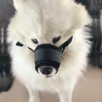 Dog Accessories Anti Barking Dog Mouth Cover Bite Chew Breathable Dog Muzzle Adjustable Mesh Dog Mouthpiece Puppy - details 1