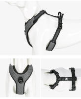 Truelove-arnés reflectante sin tirones para perro, chaleco pequeño, mediano y grande, correa a juego de ajuste rápido, Collar de entrenamiento para correr, TLH6071 - details 10