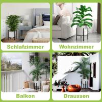 Soporte de Planta de Metal Ajustable Estante de Plantas para Interiores y Exteriores - details 2