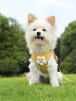Correa de arnés para mascotas ajustable Set de correa de 1.2m para cachorros, gatos, perros franceses, chihuahuas Caminatas al aire libre - details 4