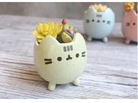 ETA i ued para un agujero de planta jugoso, macizo de flores con un hermoso animal, lindo gato, decoración de jardín, bonai ETA, cumpleaños - details 6