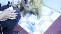 Taza de lavado de patas de silicona para mascotas, suave, para gatos y perros, limpiador de patas, taza de limpieza portátil - details 12