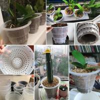 Maceta transparente de orquídeas de 10/12/15cm, macetas de orquídeas transpirables ranuradas de plástico, macetas para plantas, decoraciones de jardín y jardín - details 12