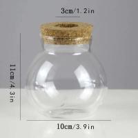 Mini ETA hidropónica de vidrio transparente, jarrones para plantas sin piso, cristalería vintage para salas de estar, hogares, oficinas, mesas, - details 2