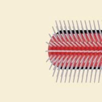 brush
