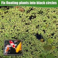 Separa plantas flotantes, valla ajustable con nivel de agua, tubo flotante acrílico para decoraciones de jardín - details 4