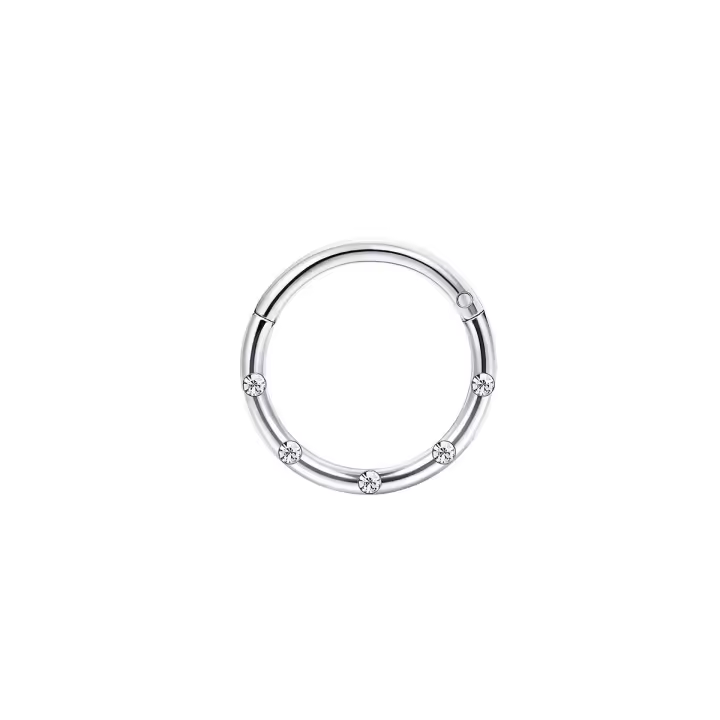 1-5 uds 16G moda 316L acero inoxidable CZ bisagras septum Clicker anillos de aro para la nariz Daith Helix Tragus cartílago Piercing joyería - 1