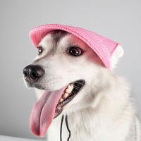 Cómodo sombrero de béisbol para mascotas de Color sólido ajustable con orificios para las orejas gorra para perros protección solar transpirable sombrero para el sol para perros para el verano - details 10
