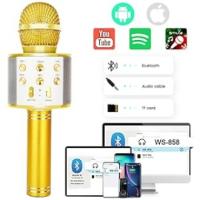 Microphone