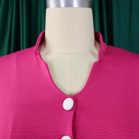 Conjunto de dos piezas de pantalón de pierna ancha plisado y top de manga acampanada de nueva moda de primavera para mujer D553 - details 6