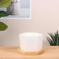 Bandeja de cerámica hexagonal blanca simple europea ETA, contenedor de plantas jugosas, bonsai pequeño ETA - details 11