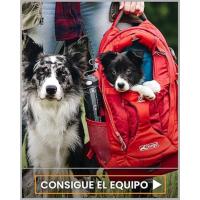 Kurgo G-Train. Mochila portaperros