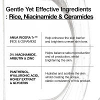 Anua Ceramic Rice Barrier Sérum Hidratante e Iluminador, inodoro, desagradable - details 3
